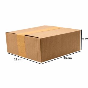 CAIXA-DE-PAPELAO-MALETA-PARA-CORREIOS-MEDIA-23X23X09---01-Unidade