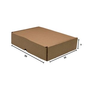 CAIXA-DE-PAPELAO-PARA-CORREIOS-PEQUENA-30X22X07---01-Unidade