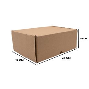 CAIXA-DE-PAPELAO-PARA-CORREIOS-PEQUENA-24X17X09---01-Unidade