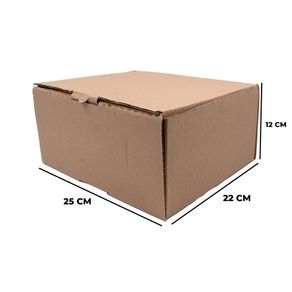 CAIXA-DE-PAPELAO-PARA-CORREIOS-MEDIA-25X22X12---01-Unidade