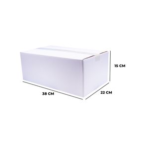 CAIXA-DE-PAPELAO-PARA-CORREIOS-MALETA-38X22X15---209---BRANCO-209