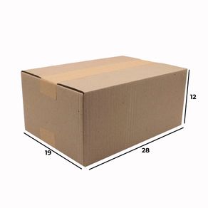 CAIXA-DE-PAPELAO-MALETA-PARA-CORREIOS-MEDIA-28X19X12---01-Unidade