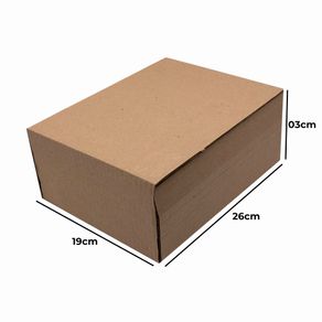 CAIXA-DE-PAPELAO-MONTAVEL-PARA-LIVROS-TAMANHO-26X19X03---01-Unidade